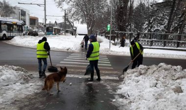 Pretura sectorului Buiucani informează despre situația în teren, ca urmare a condițiilor meteo din ultimele ore.  La mom...