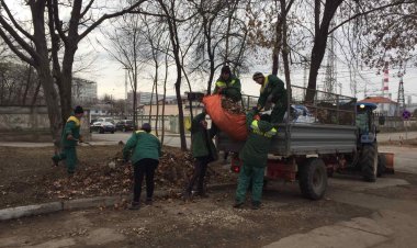 #Buiucani #MaiCurat #Acasă  Chiar dacă în calendar avem luna februarie, adică suntem în anotimpul de iarnă, am demarat d...