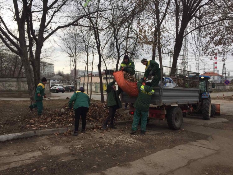#Buiucani #MaiCurat #Acasă  Chiar dacă în calendar avem luna februarie, adică suntem în anotimpul de iarnă, am demarat d...