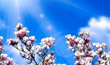 Totul pe lume se schimbă. Doar florile se deschid în fiecare primăvară⚘⚘⚘ Sărbătoarea floriilor să vă găsească liniștiți...