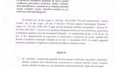 Dispoziția nr. 33 - d din 16.05.2022 Cu privire la instituirea grupului de lucru pentru verificarea parcurilor, scuarelor, aleilor, străzilor întru identificarea, examinarea și evidența arborilor uscați, crengilor uscate, arborilor avariați, etc., pe teritoriul sectorului Buiucani.