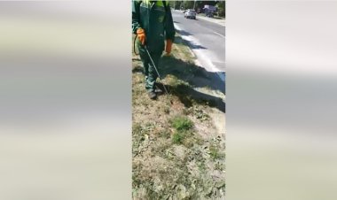 ❗️Mesaj important pentru toți proprietarii și gestionarii de terenuri! Vă rugăm să întreprindeți toate măsurile necesare...