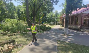 ⚠️ ATENȚIE LUCRĂRI!  Pe parcursul săptămânii curente, se vor efectua lucrări silvotehnice de defrișare sau curățare a ar...