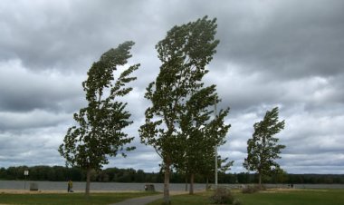 ⚠️Stimați cetățeni, urmează câteva ore de vreme rea în capitală. Serviciul Hidrometeorologic de Stat anunță Cod Galben d...