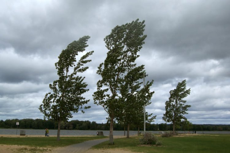 ⚠️Stimați cetățeni, urmează câteva ore de vreme rea în capitală. Serviciul Hidrometeorologic de Stat anunță Cod Galben d...