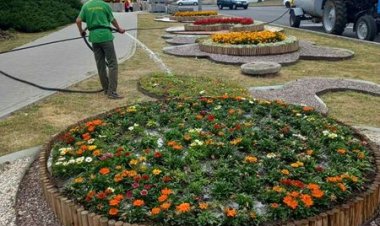 Unde lucrează serviciile #Preturii #Buiucani astăzi: Î.M. "Asociația de Gospodărire a Spațiilor Verzi" sectorul Buiucani...