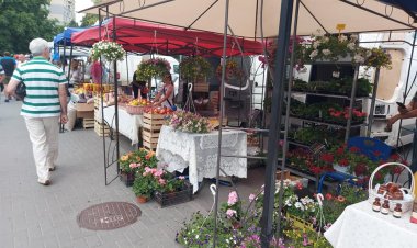 ⛅După mai multe zile în care ne-am topit la soare, se anunță un sfârșit de săptămână mai răcoros. E timpul cel mai potri...