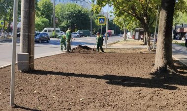 ⚒Derularea proiectelor de reabilitare a infrastructurii pietonale inițiate de Pretura sectorului Buiucani: ✔Reabilitarea...