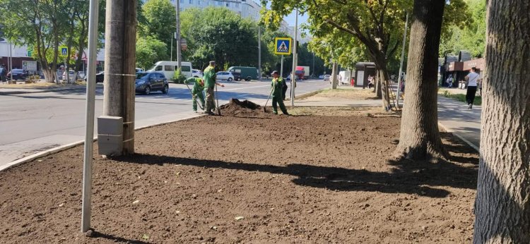 ⚒Derularea proiectelor de reabilitare a infrastructurii pietonale inițiate de Pretura sectorului Buiucani: ✔Reabilitarea...