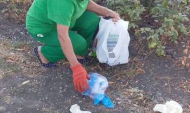 ☀️????În această perioadă caniculară, pentru mulți dintre locuitorii și vizitatorii orașului, parcurile au devenit locul p...