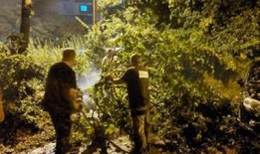 ‼️‼️‼️ Începând cu seara zilei de 9 august și până la moment, toate serviciile municipale specializate din sectorul Buiu...