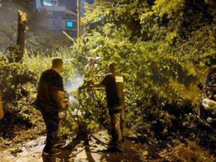 ‼️‼️‼️ Începând cu seara zilei de 9 august și până la moment, toate serviciile municipale specializate din sectorul Buiu...