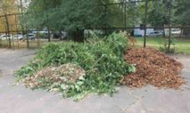 ✍Continuăm acţiunile de monitorizare a ordinii în zonele cu intensă circulație pietonală, pe străzi, trotuare sau orice...