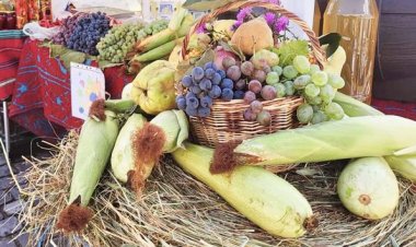 ✍Chiar dacă în weekend vom avea timp răcoros acesta nu este un motiv de a petrece timpul acasă, dar este o oportunitate...