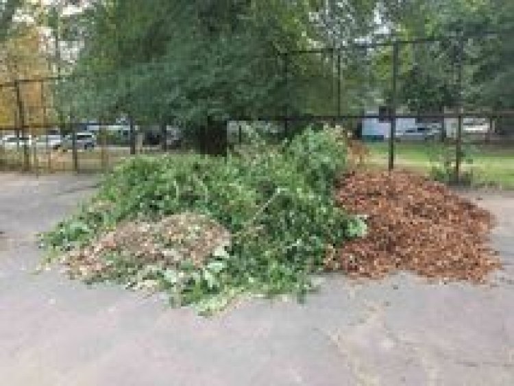 ✍Continuăm acţiunile de monitorizare a ordinii în zonele cu intensă circulație pietonală, pe străzi, trotuare sau orice...