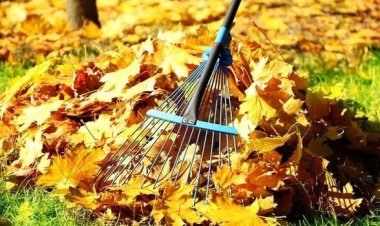 Hai să facem #CurățeniaDeToamnă în sectorul nostru!  Stimate locuitor al sectorului Buiucani, ne aflăm în Campania d...