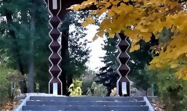 Lucrările de reparație și modernizare din Pădurea-parc „Butoiaș” (zona străzii N. Costin) sunt pe ultima sută de metri....