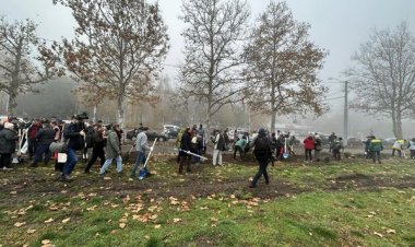 Astăzi, 12 noiembrie, se desfășoară o amplă campanie de plantare a arborilor în tot Chișinăul. Plantările vizează, înd...
