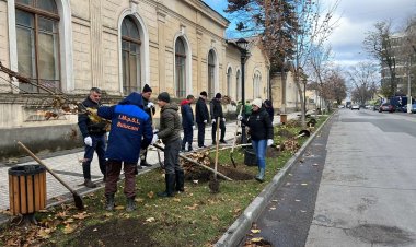 Colectivul Preturii sectorului Buiucani implicat activ în cadrul Campaniei de înverzire a orașului Chișinău, ediția -2022.