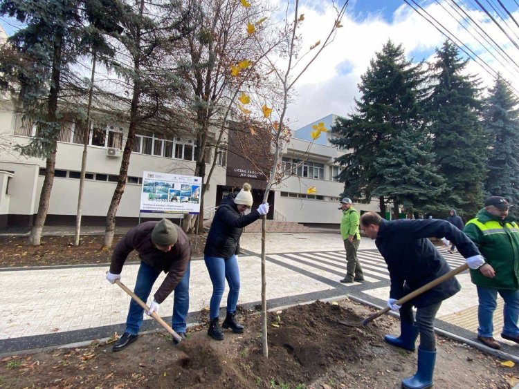 Colectivul Preturii sectorului Buiucani implicat activ în cadrul Campaniei de înverzire a orașului Chișinău, ediția -2022.