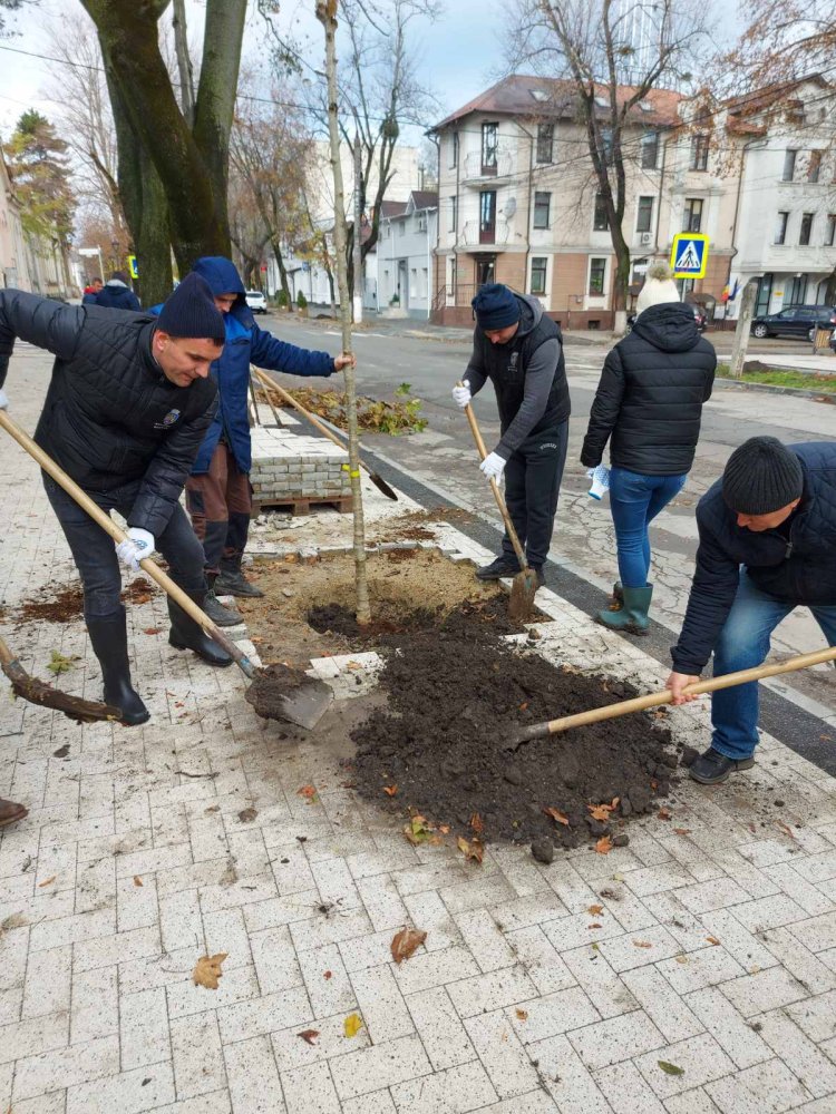 Colectivul Preturii sectorului Buiucani implicat activ în cadrul Campaniei de înverzire a orașului Chișinău, ediția -2022.