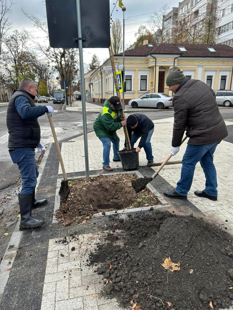 Colectivul Preturii sectorului Buiucani implicat activ în cadrul Campaniei de înverzire a orașului Chișinău, ediția -2022.