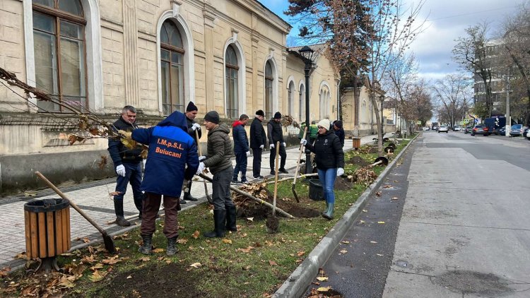 Colectivul Preturii sectorului Buiucani implicat activ în cadrul Campaniei de înverzire a orașului Chișinău, ediția -2022.