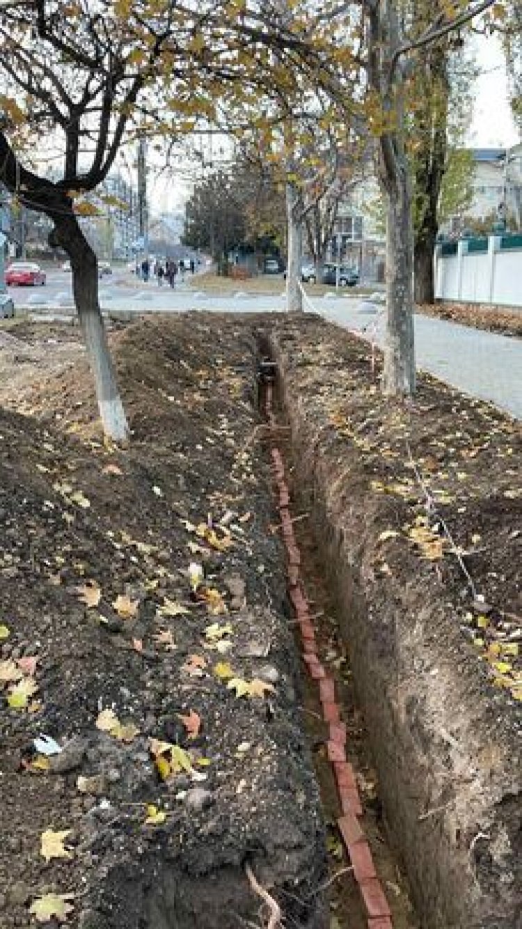 Continuă activ lucrările de amenajare în Grădina Publică "Scuarul Catedralei Metropolitane".  In săptămâna curentă, au...