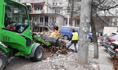 Evacuarea frunzișului pe ultima sută de metri