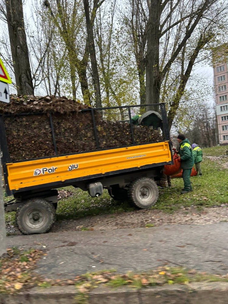 Evacuarea frunzișului pe ultima sută de metri