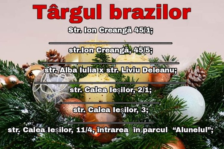 Comercializarea brazilor, în perioada sărbătorilor de iarnă 2022-2023