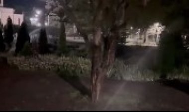 ???? Revitalizarea spațiilor verzi din Scuarul Catedralei Mitropolitane. De comun cu Î.M. „Asociația de gospodărire a spaț...