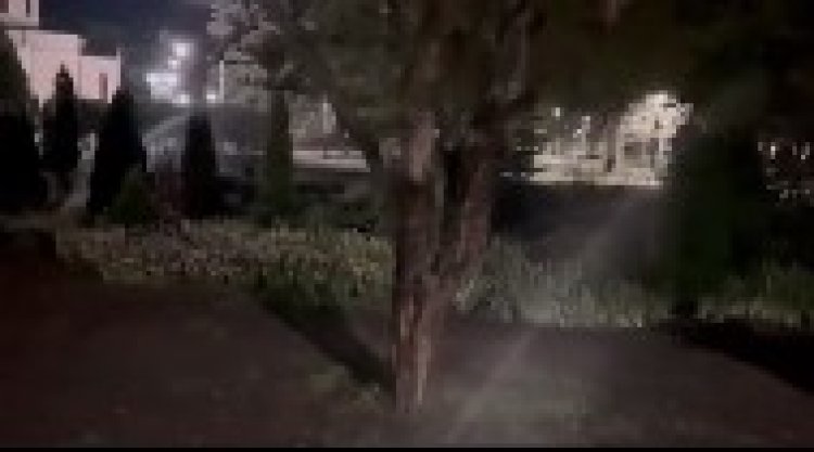 ???? Revitalizarea spațiilor verzi din Scuarul Catedralei Mitropolitane. De comun cu Î.M. „Asociația de gospodărire a spaț...