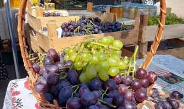 ???? În acest week-end bunii noștri producători locali ne invită la o nouă ediție „Cămara Fest” din parcul „Alunelul” ???? ☝...