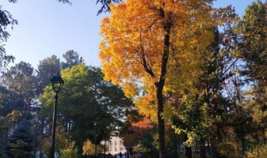 Prima etapă de reabilitare a Grădinii publice Scuarul Catedralei Mitropolitane „Nașterea Domnului” se apropie de sfârșit...