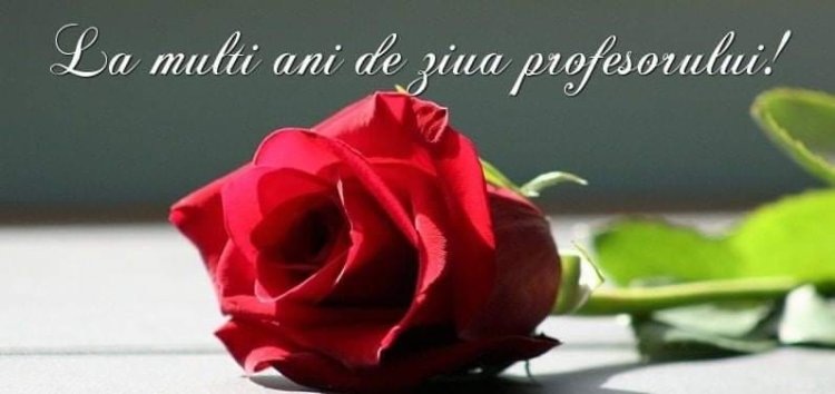 Felicitări Stimați Profesori! Sărbătoarea Ziua Internațională a Educației și Ziua Profesorului ne oferă un prilej în...