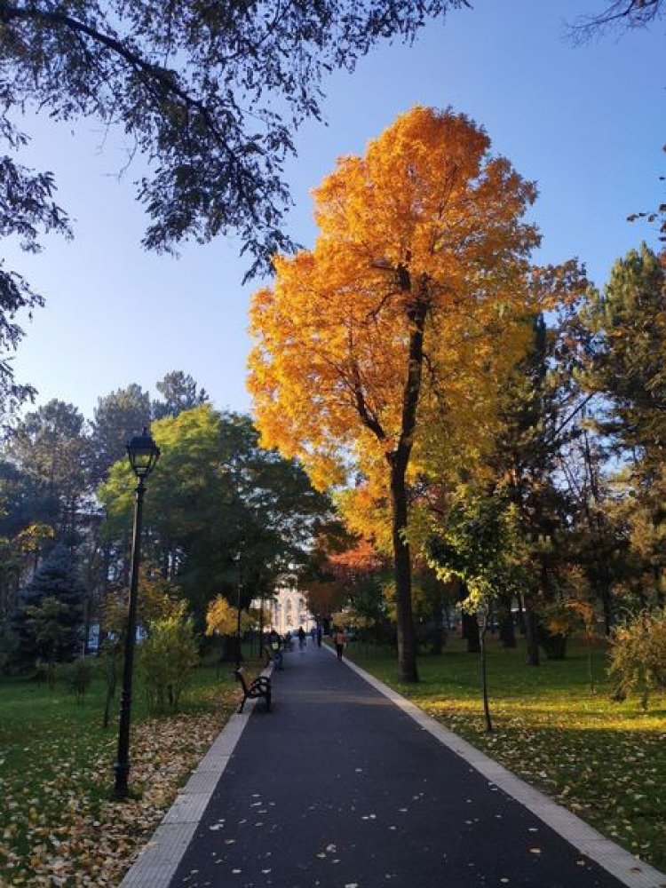 Prima etapă de reabilitare a Grădinii publice Scuarul Catedralei Mitropolitane „Nașterea Domnului” se apropie de sfârșit...