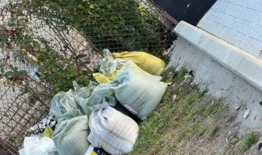 Vinerea este zi de curățenie! În sectorul Buiucani ziua de vineri este ziua tradițională în care responsabilii Preturi...