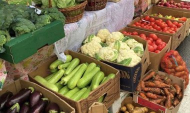 ✅Târguri cu produse autohtone în sectoarele capitalei, în weekend-ul 25- 26 noiembrie 2023. Primăria Municipiului Chișin...