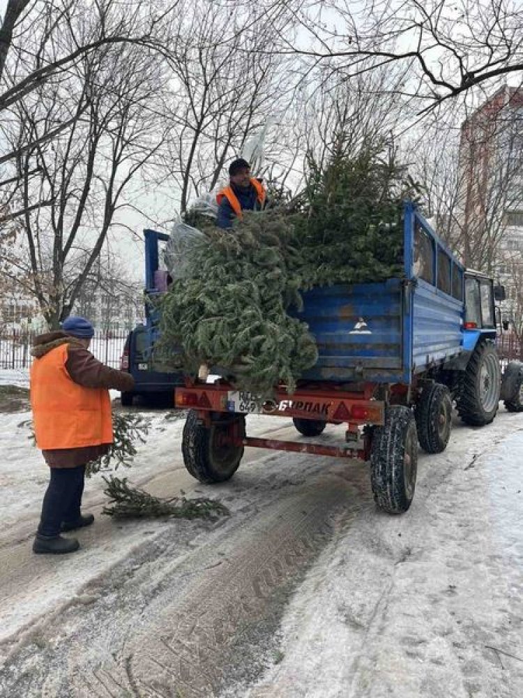 ✍Sărbătorile de iarnă au rămas în urmă, deci, strângem brăduții care ne-au bucurat ochii în toată această perioada frumo...