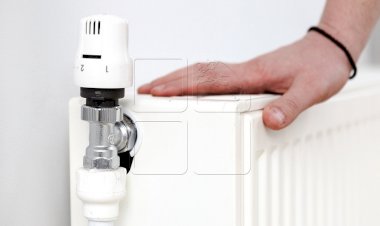 Primăria municipiului Chișinău... - Pretura sectorului Buiucani